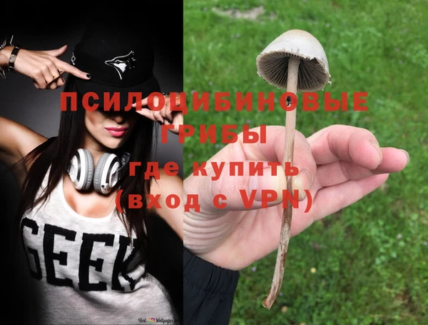 амф Алексеевка